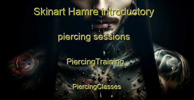 Skinart Hamre introductory piercing sessions | #PiercingTraining #PiercingClasses #SkinartTraining-Norway