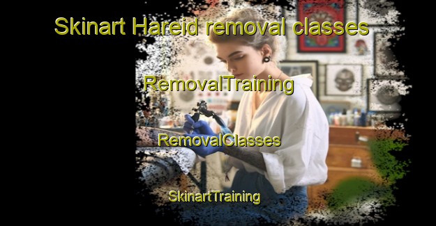 Skinart Hareid removal classes | RemovalTraining | RemovalClasses | SkinartTraining-Norway