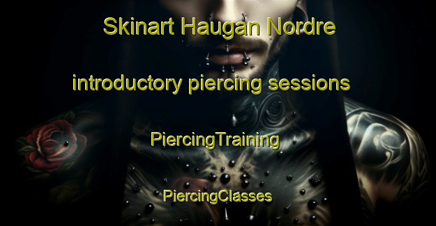 Skinart Haugan Nordre introductory piercing sessions | #PiercingTraining #PiercingClasses #SkinartTraining-Norway