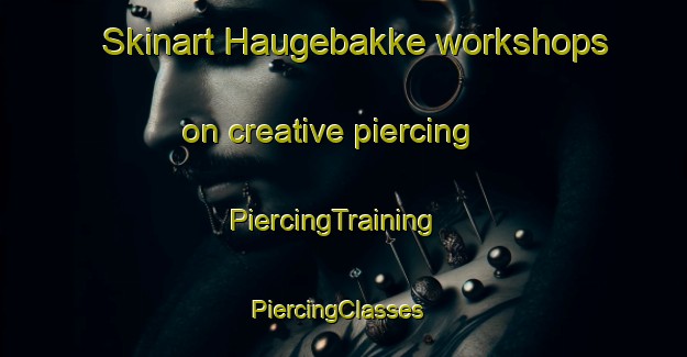 Skinart Haugebakke workshops on creative piercing | PiercingTraining | PiercingClasses | SkinartTraining-Norway