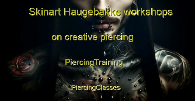 Skinart Haugebakke workshops on creative piercing | PiercingTraining | PiercingClasses | SkinartTraining-Norway