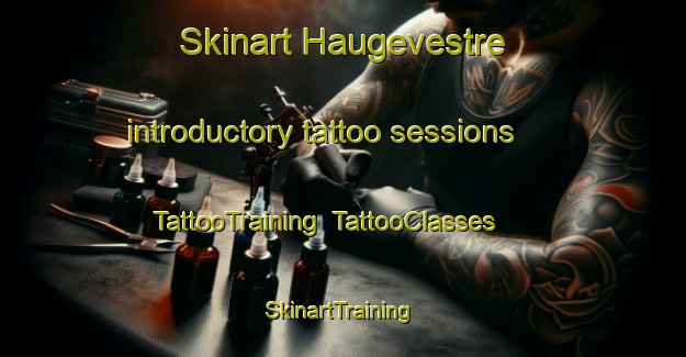 Skinart Haugevestre introductory tattoo sessions | TattooTraining | TattooClasses | SkinartTraining-Norway