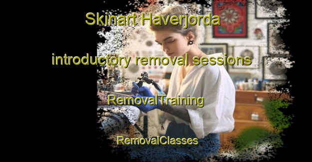 Skinart Haverjorda introductory removal sessions | RemovalTraining | RemovalClasses | SkinartTraining-Norway