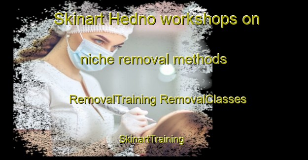 Skinart Hedno workshops on niche removal methods | #RemovalTraining #RemovalClasses #SkinartTraining-Norway