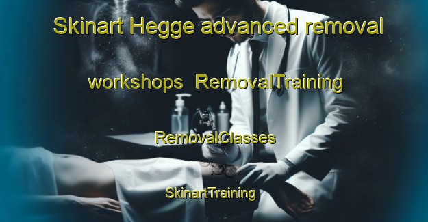 Skinart Hegge advanced removal workshops | RemovalTraining | RemovalClasses | SkinartTraining-Norway