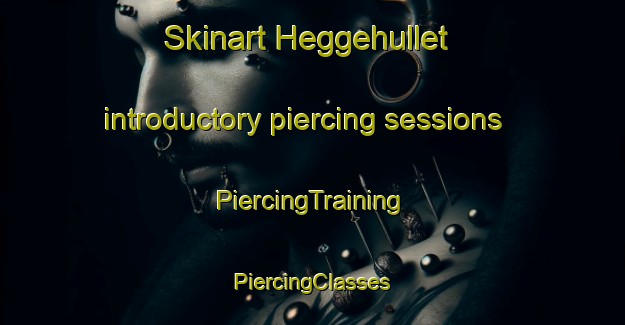 Skinart Heggehullet introductory piercing sessions | #PiercingTraining #PiercingClasses #SkinartTraining-Norway