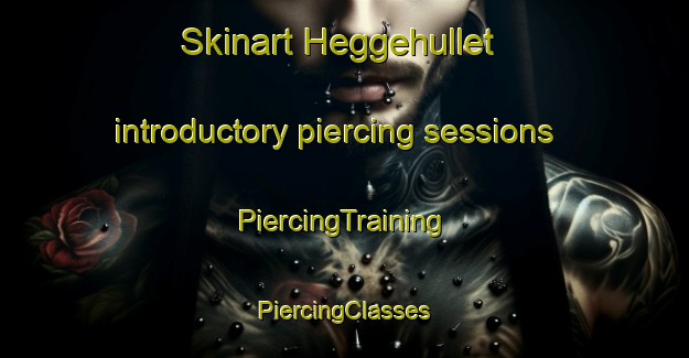 Skinart Heggehullet introductory piercing sessions | #PiercingTraining #PiercingClasses #SkinartTraining-Norway