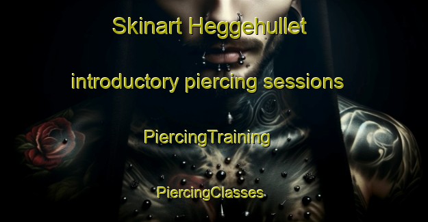 Skinart Heggehullet introductory piercing sessions | PiercingTraining | PiercingClasses | SkinartTraining-Norway