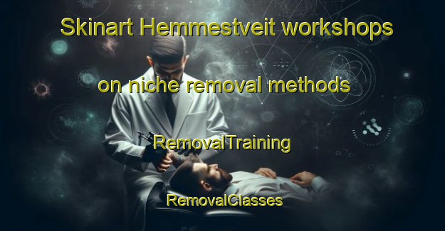 Skinart Hemmestveit workshops on niche removal methods | RemovalTraining | RemovalClasses | SkinartTraining-Norway