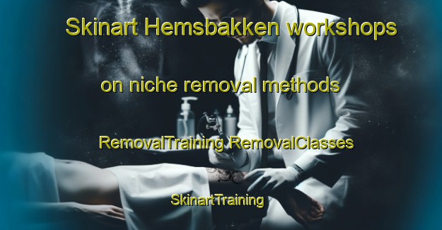 Skinart Hemsbakken workshops on niche removal methods | #RemovalTraining #RemovalClasses #SkinartTraining-Norway