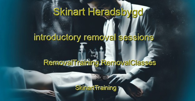 Skinart Heradsbygd introductory removal sessions | #RemovalTraining #RemovalClasses #SkinartTraining-Norway