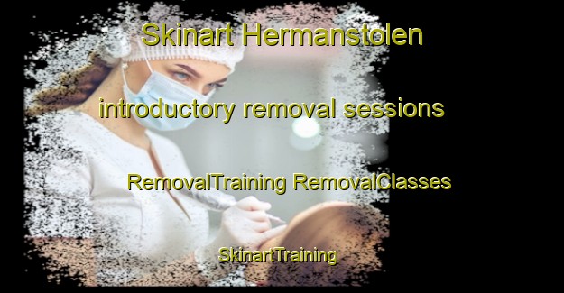 Skinart Hermanstolen introductory removal sessions | #RemovalTraining #RemovalClasses #SkinartTraining-Norway