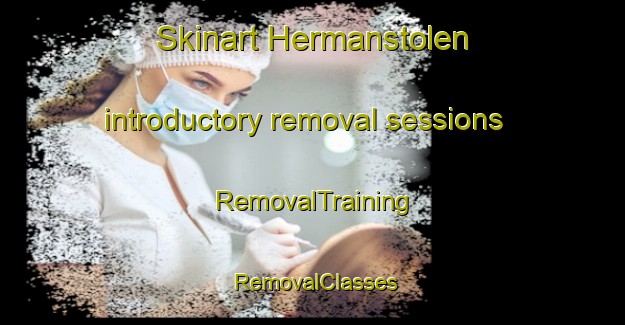 Skinart Hermanstolen introductory removal sessions | RemovalTraining | RemovalClasses | SkinartTraining-Norway