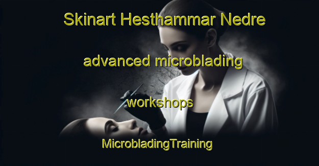 Skinart Hesthammar Nedre advanced microblading workshops | #MicrobladingTraining #MicrobladingClasses #SkinartTraining-Norway