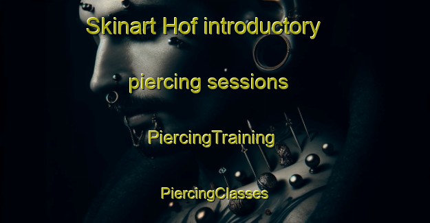 Skinart Hof introductory piercing sessions | #PiercingTraining #PiercingClasses #SkinartTraining-Norway