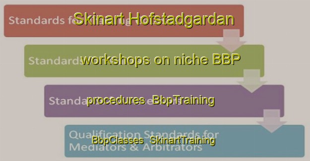 Skinart Hofstadgardan workshops on niche BBP procedures | BbpTraining | BbpClasses | SkinartTraining-Norway