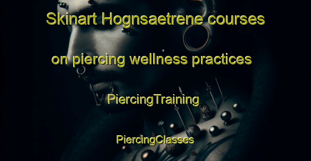 Skinart Hognsaetrene courses on piercing wellness practices | #PiercingTraining #PiercingClasses #SkinartTraining-Norway