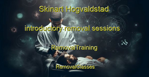Skinart Hogvaldstad introductory removal sessions | RemovalTraining | RemovalClasses | SkinartTraining-Norway