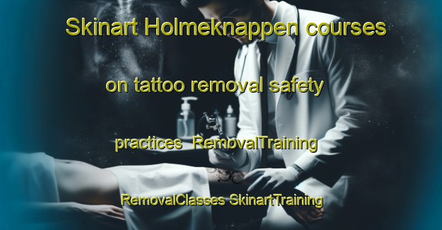 Skinart Holmeknappen courses on tattoo removal safety practices | #RemovalTraining #RemovalClasses #SkinartTraining-Norway