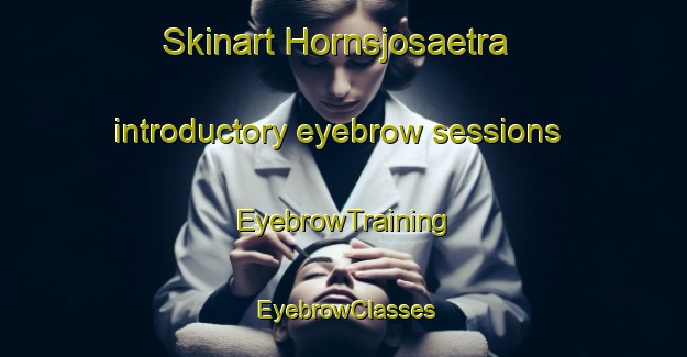 Skinart Hornsjosaetra introductory eyebrow sessions | EyebrowTraining | EyebrowClasses | SkinartTraining-Norway