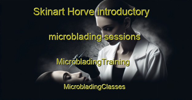 Skinart Horve introductory microblading sessions | MicrobladingTraining | MicrobladingClasses | SkinartTraining-Norway