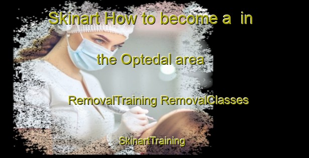 Skinart How to become a  in the Optedal area | #RemovalTraining #RemovalClasses #SkinartTraining-Norway