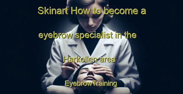 Skinart How to become a eyebrow specialist in the Harkollen area | EyebrowTraining | EyebrowClasses | SkinartTraining-Norway
