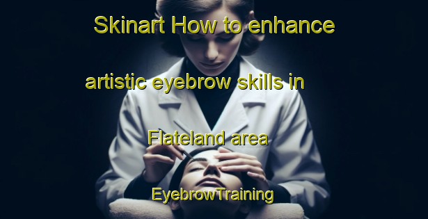 Skinart How to enhance artistic eyebrow skills in Flateland area | EyebrowTraining | EyebrowClasses | SkinartTraining-Norway