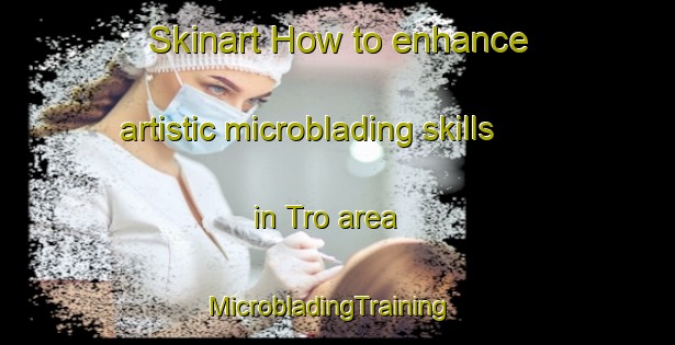 Skinart How to enhance artistic microblading skills in Tro area | MicrobladingTraining | MicrobladingClasses | SkinartTraining-Norway
