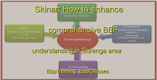 Skinart How to enhance comprehensive BBP understanding in Sorenga area | BbpTraining | BbpClasses | SkinartTraining-Norway