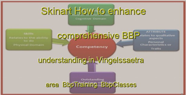 Skinart How to enhance comprehensive BBP understanding in Vingelssaetra area | BbpTraining | BbpClasses | SkinartTraining-Norway