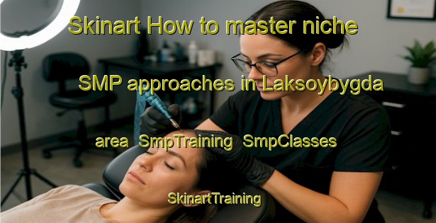 Skinart How to master niche SMP approaches in Laksoybygda area | SmpTraining | SmpClasses | SkinartTraining-Norway
