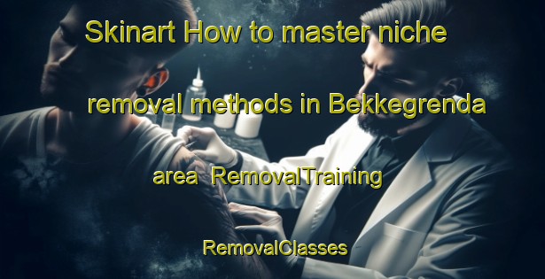 Skinart How to master niche removal methods in Bekkegrenda area | RemovalTraining | RemovalClasses | SkinartTraining-Norway