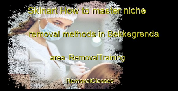 Skinart How to master niche removal methods in Bekkegrenda area | RemovalTraining | RemovalClasses | SkinartTraining-Norway