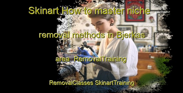 Skinart How to master niche removal methods in Bjerkas area | #RemovalTraining #RemovalClasses #SkinartTraining-Norway