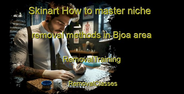 Skinart How to master niche removal methods in Bjoa area | RemovalTraining | RemovalClasses | SkinartTraining-Norway