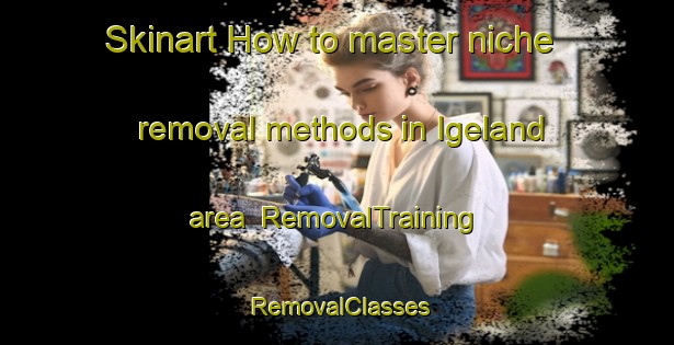 Skinart How to master niche removal methods in Igeland area | RemovalTraining | RemovalClasses | SkinartTraining-Norway