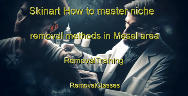 Skinart How to master niche removal methods in Mesel area | RemovalTraining | RemovalClasses | SkinartTraining-Norway
