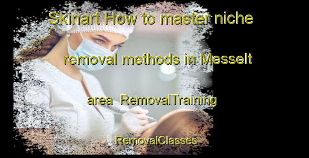 Skinart How to master niche removal methods in Messelt area | RemovalTraining | RemovalClasses | SkinartTraining-Norway