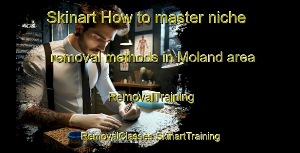 Skinart How to master niche removal methods in Moland area | #RemovalTraining #RemovalClasses #SkinartTraining-Norway