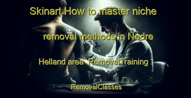Skinart How to master niche removal methods in Nedre Helland area | RemovalTraining | RemovalClasses | SkinartTraining-Norway