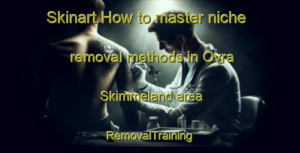 Skinart How to master niche removal methods in Ovra Skimmeland area | RemovalTraining | RemovalClasses | SkinartTraining-Norway