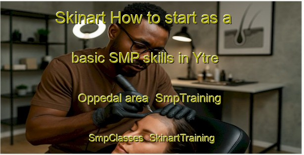Skinart How to start as a basic SMP skills in Ytre Oppedal area | SmpTraining | SmpClasses | SkinartTraining-Norway