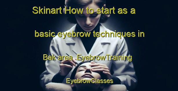 Skinart How to start as a basic eyebrow techniques in Bak area | EyebrowTraining | EyebrowClasses | SkinartTraining-Norway