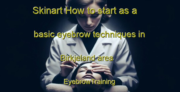 Skinart How to start as a basic eyebrow techniques in Birkjeland area | EyebrowTraining | EyebrowClasses | SkinartTraining-Norway