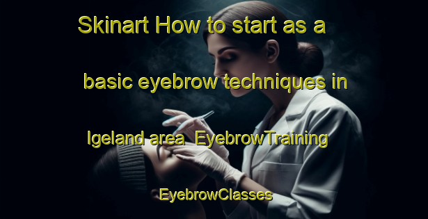 Skinart How to start as a basic eyebrow techniques in Igeland area | EyebrowTraining | EyebrowClasses | SkinartTraining-Norway