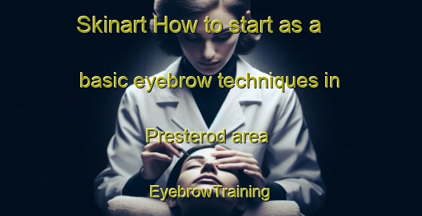 Skinart How to start as a basic eyebrow techniques in Presterod area | EyebrowTraining | EyebrowClasses | SkinartTraining-Norway