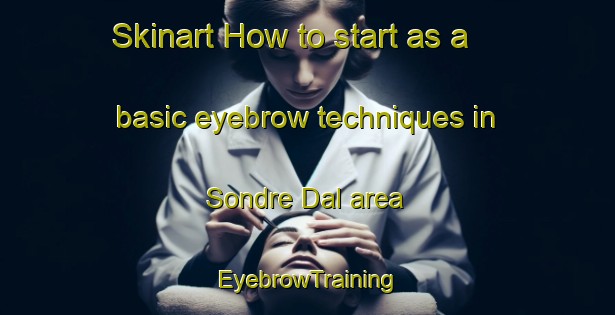 Skinart How to start as a basic eyebrow techniques in Sondre Dal area | EyebrowTraining | EyebrowClasses | SkinartTraining-Norway