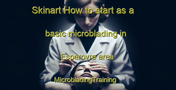 Skinart How to start as a basic microblading in Esperovre area | MicrobladingTraining | MicrobladingClasses | SkinartTraining-Norway