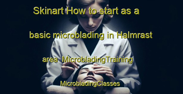 Skinart How to start as a basic microblading in Halmrast area | MicrobladingTraining | MicrobladingClasses | SkinartTraining-Norway